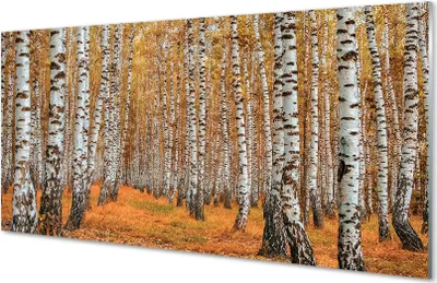 Produktbild von Glasbilder 140x70 Wandkunst Bäume im Herbst