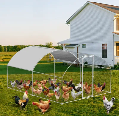 Immagine prodotto di Pollaio Clanmacy grande pollaio all'aperto tetto recinto per pollame con struttura in acciaio zincato PE e porta con serratura 3 x 4 x 2 m cupola