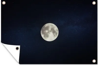 Produktbild von MuchoWow®