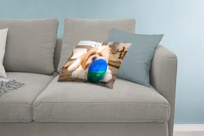 Produktbild von MuchoWow® Zierkissen Sofakissen Wohnzimmer Dekokissen 60x40 cm Ein Shih Tzu Hund spielt mit einem Ball - Kopfkissen - Polster mit Foto