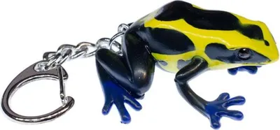 Produktbild von Färberfrosch Schlüsselanhänger Miniblings Anhänger Schlüsselring Frosch Pfeilgiftfrosch Schwarz Gelb