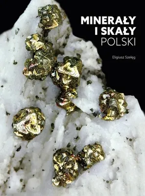 Immagine prodotto di Przewodnik kolekcjonera minerałów i skał Polski 388 stron