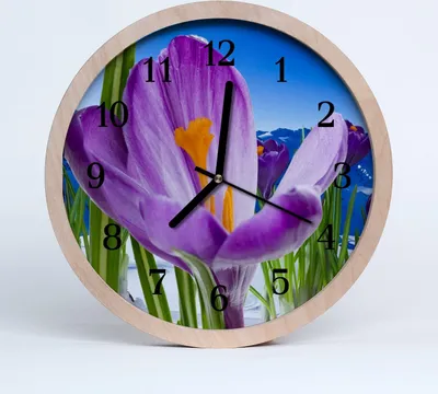 Produktbild von Holzuhr 20fi cm wanduhr - Frühling Natur