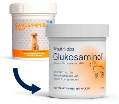 Produktbild von NutriLabs Glukosaminol Gelenkpulver 150g für Hunde-Welpen mit MSM Artischocke