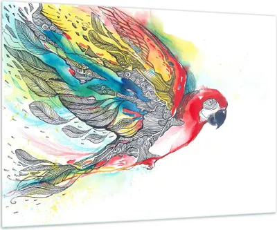 Produktbild von Bilder auf glas - Parrot Flügel Federn Natur - 100x70cm - Glasbilder - Wandbilder - Kunstdruck - zum Aufhängen bereit - Wanddekoration aus Glas - Glas Bilder - Wandbild auf Glas - GAA100x70-3008