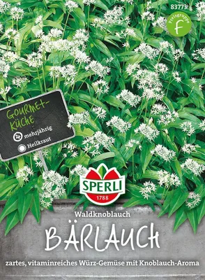 Produktbild von Bärlauch ''Waldknoblauch'' zartes, vitaminreiches Würz-Gemüse mit Knoblauch-Aroma