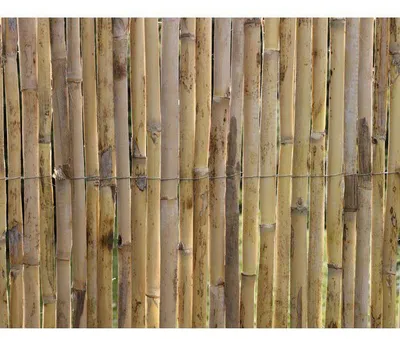 Produktbild von Schilfrohrmatte , Natur Premium, Gespaltenes Schilfrohr, 3 x 1 m, Sichtschutz 3/5