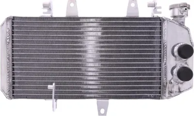 Obrázek produktu pro Vodní chladič JMP TRS-R-738 pro BMW F