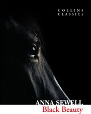 Produktbild von Black Beauty