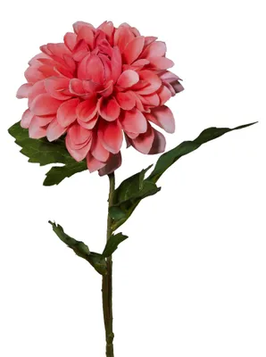 Produktbild von Kunstblume DAHLIE, 59cm. Dahlientrieb mit einer Blüte in ROSA.
