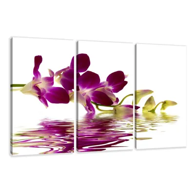 Obrázek produktu pro Obraz 160 x 90 cm na plátně Květinová orchidej 1132 - Obrazy/nástěnný obraz/umělecký tisk jsou již zarámované