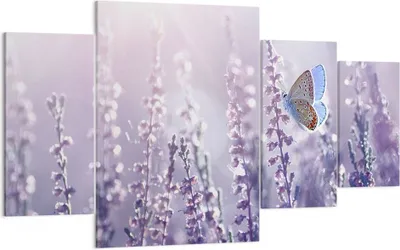 Produktbild von Bild auf Leinwand - Leinwandbild - Schmetterling Wiese Blume - 160x90cm - Wand Bild - Wanddeko - Leinwanddruck - Bilder - Kunstdruck - Wanddekoration - Leinwand bilder - Wandkunst - DL160x90-4014