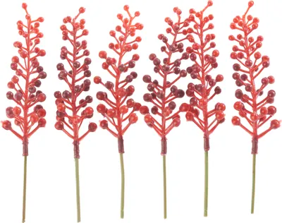 Produktbild von Beeren-Picks, 6 Stück, L 15 cm