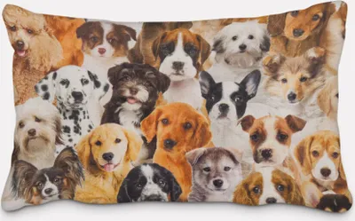 Produktbild von SCHÖNER LEBEN. Kissenhülle Hunde Welpen braun weiß schwarz Größe 60x80cm (HxB) 60x80cm (HxB) Größe