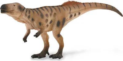 Image de Megalosaurus en embuscade 88909 COLLECTA