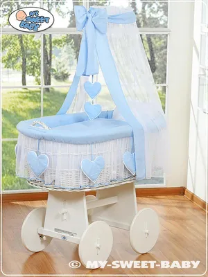 Immagine prodotto di Cesto per neonati con baldacchino - Amelie blu