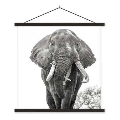 Produktbild von MuchoWow® Textilposter Elefant - Porträt - Tiere - Schwarz und weiß 40x40 cm mit schwarzem Rahmen - Fotos