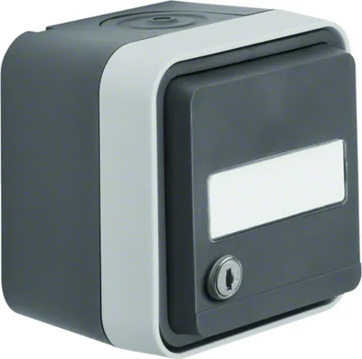 Produktbild von Berker Steckdose SCHUKO mit Klappd., Beschriftungsfeld, gl. Schließung AP W.1 grau, Typ F, Schrauben, Grau, Thermoplast, Matt, IP55
