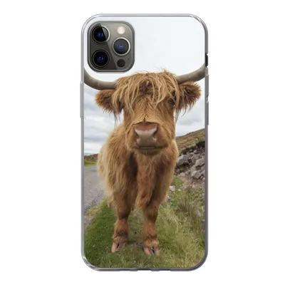 Produktbild von MuchoWow® Handyhülle Schutzhülle Hülle für iPhone 12 Pro Max Schottischer Highlander - Hörner - Berg Silikon Softcase Handy Hülle - Hartschale