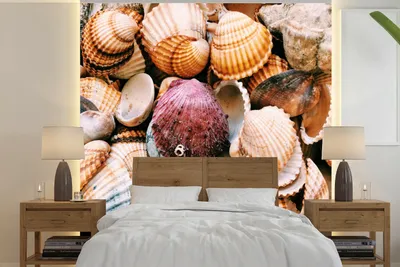 Produktbild von Strand-Fotobehang Schelpen-Design, 220 x 220 cm, Griechenland-Inspiration