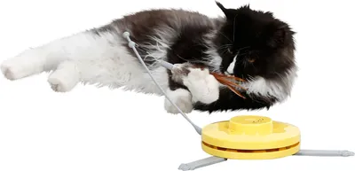 Produktbild von Kerbl Pet Katzenspielzeug 2in1 Catch the TailFeather, 70x53x5cm