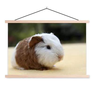Produktbild von MuchoWow® Textilposter Junges Meerschweinchen 120x80 cm mit holzfarbenen Rahmen - Aufhängeset