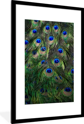 Produktbild von MuchoWow® Gerahmtes Poster Pfau - Federn - Augen - Blau 60x90 cm - Poster mit Schwarzem Bilderrahmen Wandposter Rahmen Foto Bilder - Dekoration - Wandposter Wohnzimmer - Hochwertig