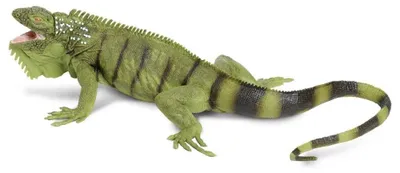 Immagine prodotto di Gioco Safari animale iguana 28 cm verde