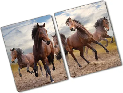 Produktbild von Tulup Glas Herdabdeckplatte - 2x40x52 cm - Glaskeramikkochfeld-Abdeckung Spritzschutz Glasabdeckplatte Kochplattenabdeckung und Schneidebrett - Zweiteilig - Tiere - Fünf Pferde - Braun