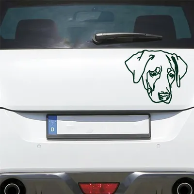 Produktbild von Auto Aufkleber Labrador LABI Labbi Hund Dog Hundekopf Hundefreund 15x13 cm Dunkelgrün Sticker Heckscheibenaufkleber