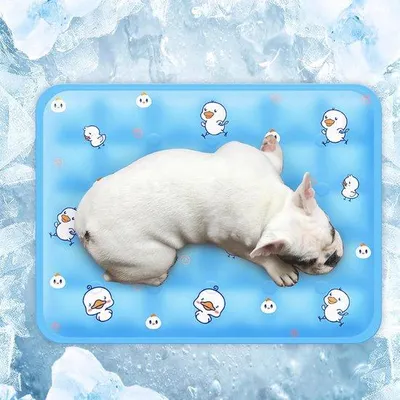 Produktbild von Famanu Kühlmatte für Hunde - Sicher, schadstofffrei und komfortabel (blau)