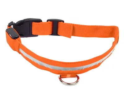 Zdjęcie produktu dla Ag232C Obroża Świecąca Led 34-42Cm Orang