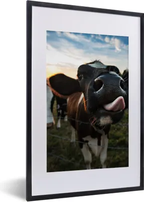 Produktbild von MuchoWow® Gerahmtes Poster Kuh - Tiere - Natur - Ausgezeichnete Zunge 40x60 cm - Poster mit Schwarzem Bilderrahmen Wandposter Rahmen Foto Bilder - Poster in Rahmen