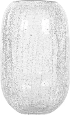 Image de BELIANI Vase à fleurs Verre transparent 28 cm Forme ronde décorative Effet craquelé Décoration de table Design moderne