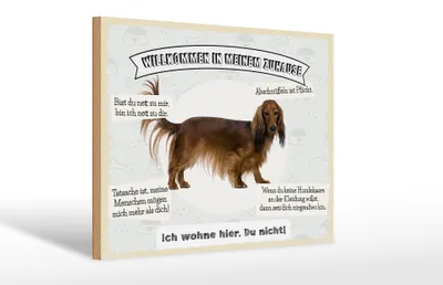 Produktbild von Holzschild Spruch 30x20cm Tiere Hund ich wohne hier du nicht