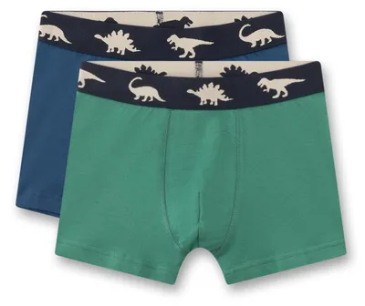 Produktbild von Sanetta Jungen-Hipshorts grün Baumwolle | 2er Set Kinder-Unterhose