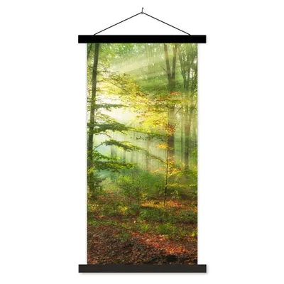 Produktbild von MuchoWow® Textilposter Sonne - Wald - Bäume - Natur - Herbst 90x180 cm mit schwarzem Rahmen - Dekoration Wohnzimmer