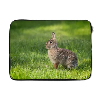 Produktbild von MuchoWow® Laptop Hülle 13 Zoll Kaninchen - Gras - Tier Laptoptasche - Laptophülle - Sleeve - Rundumschutz