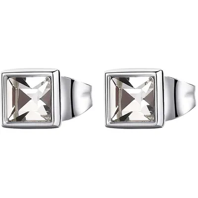 Produktbild von Beautiful steel earrings Emphasis BEH22