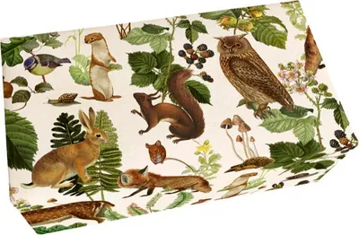 Produktbild von Geschenkseife "Waldtiere", 200 g