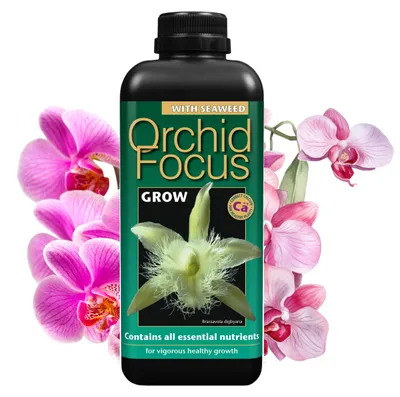 Produktbild von Growth Technology - Orchideendünger 1000 ml - Orchid Focus Grow - Effektiv - Flüssigdünger