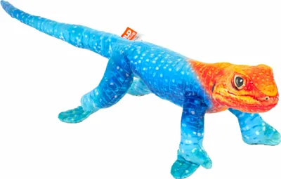 Produktbild von Wild Republic Eidechse Stofftier - Plusch - blau/orange - 35 cm
