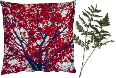 Produktbild von MuchoWow® Zierkissen Sofakissen Wohnzimmer Dekokissen 50x50 cm Ahorn - Blätter - Herbst - Natur - Komfort - Sofakissen