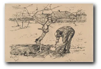Produktbild von Kunstdruck „Gärtner bei einem Apfelbaum“ von Vincent van Gogh – 20 x 30 cm – ungerahmt