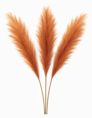 Produktbild von LAYBA Künstliches Pampasgras 3er-Set Orange 100 cm, 18 Federn, Kunstpflanze Ziergras für Bodenvase, Boho Deko, Wohnzimmer und Event