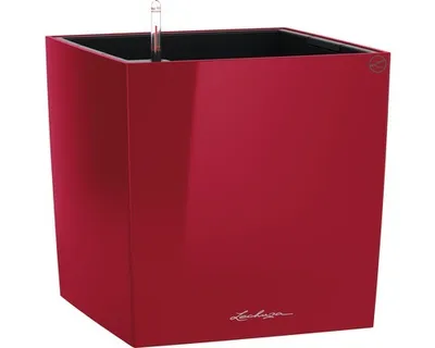 Obrázek produktu pro LECHUZA CUBE 50, Květináč, Volně stojící, Polypropylen (PP), Červená, Vnitřní, Černá