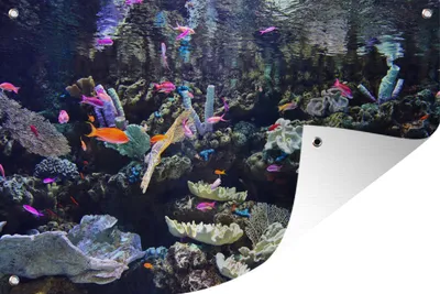 Obrázek produktu pro MuchoWow® Zahradní plakáty - Barevné akvárium - 120x180 cm - Zahradní dekorace