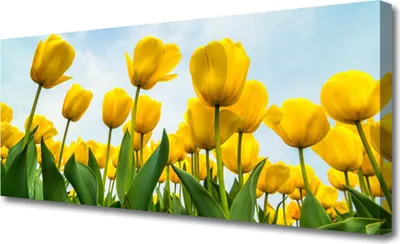 Produktbild von Tulup Leinwand-Bilder 125x50 Wandbild Canvas Kunstdruck Tulpen Pflanzen