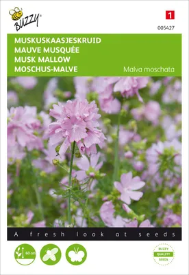 Zdjęcie produktu dla Malwa piżmowa | Nasiona malwy od Buzzy Seeds