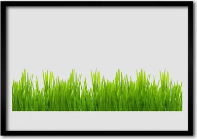 Produktbild von Bild 100x70 MDF-Rahmen Wandkunst Gras Natur Pflanze